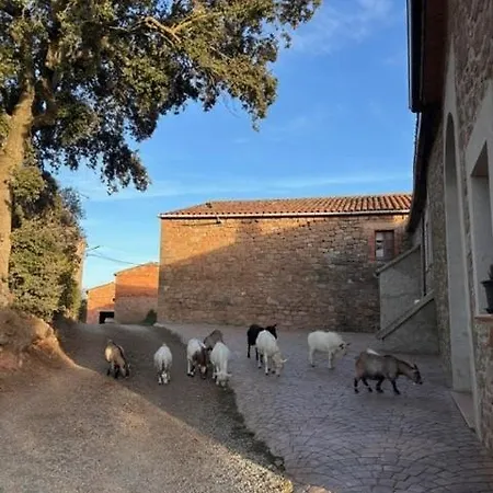 Cal Perico *